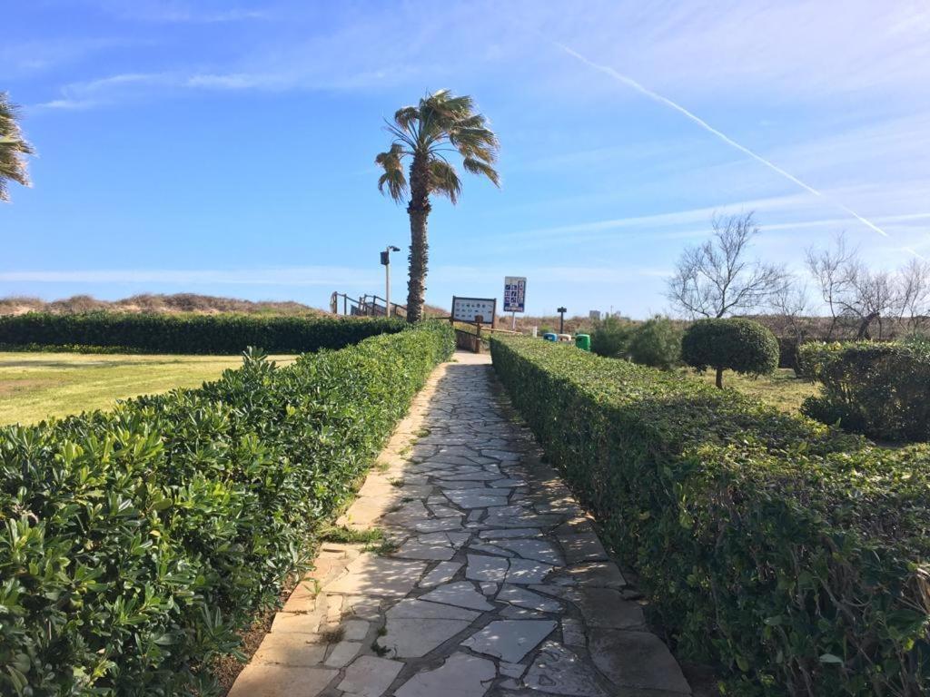 Apartamento A 100 Metros De La Playa Con Grande Terraza Y Vistas Al Mar Daimus Exteriör bild