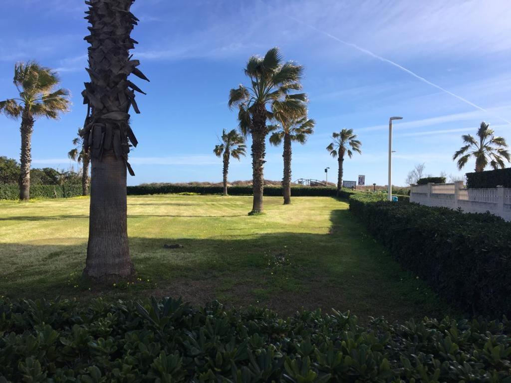 Apartamento A 100 Metros De La Playa Con Grande Terraza Y Vistas Al Mar Daimus Exteriör bild